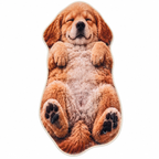 Dywan puszysty Śpiący Golden Retriever karmelowy antypoślizgowy 3D
