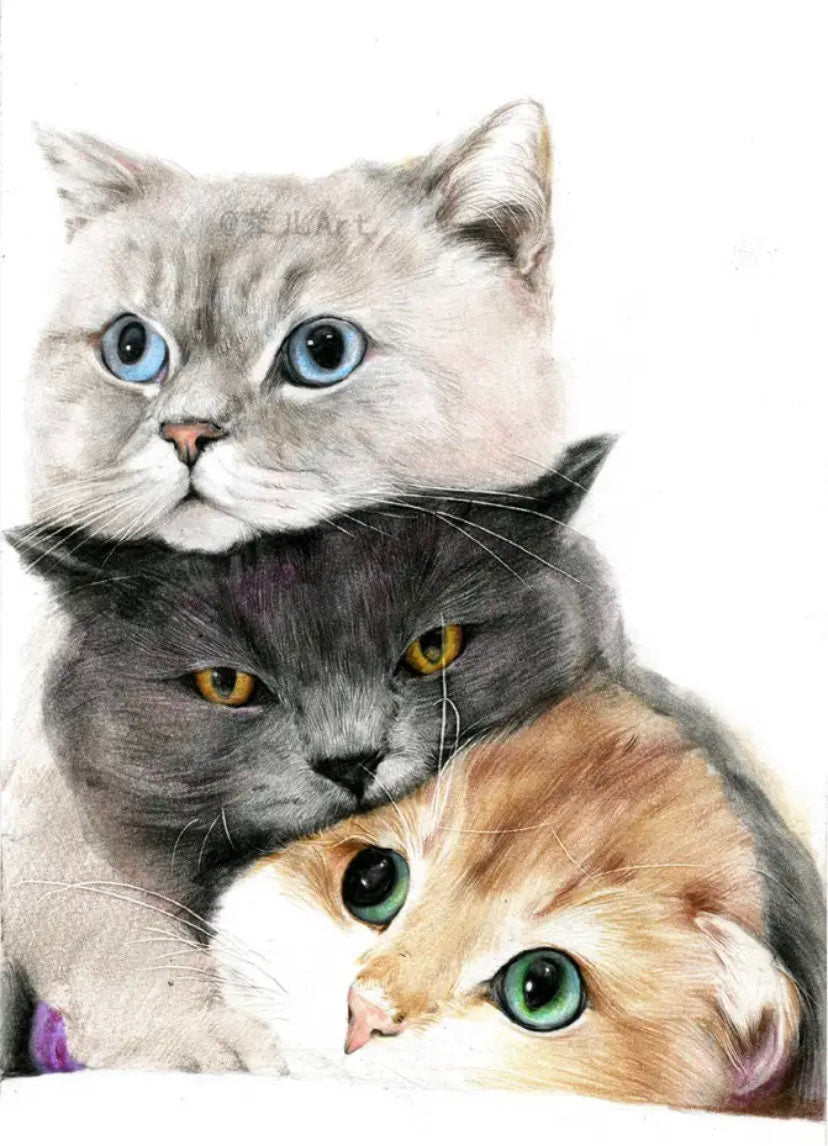 DYWAN do pokoju dziecięcego z kotami KITTEN